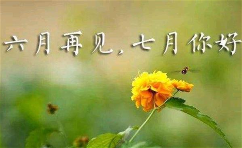 六月再見、7月你好